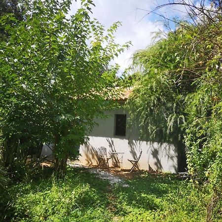 Villa Griseor بورتو فيكشْيو المظهر الخارجي الصورة
