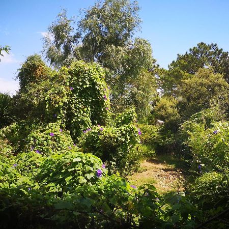 Villa Griseor بورتو فيكشْيو المظهر الخارجي الصورة